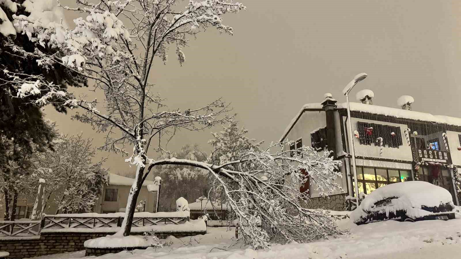 karabukte kar agirligina dayanamayan cok sayida agacin dallarin kirildi 0 e5D9n3CD