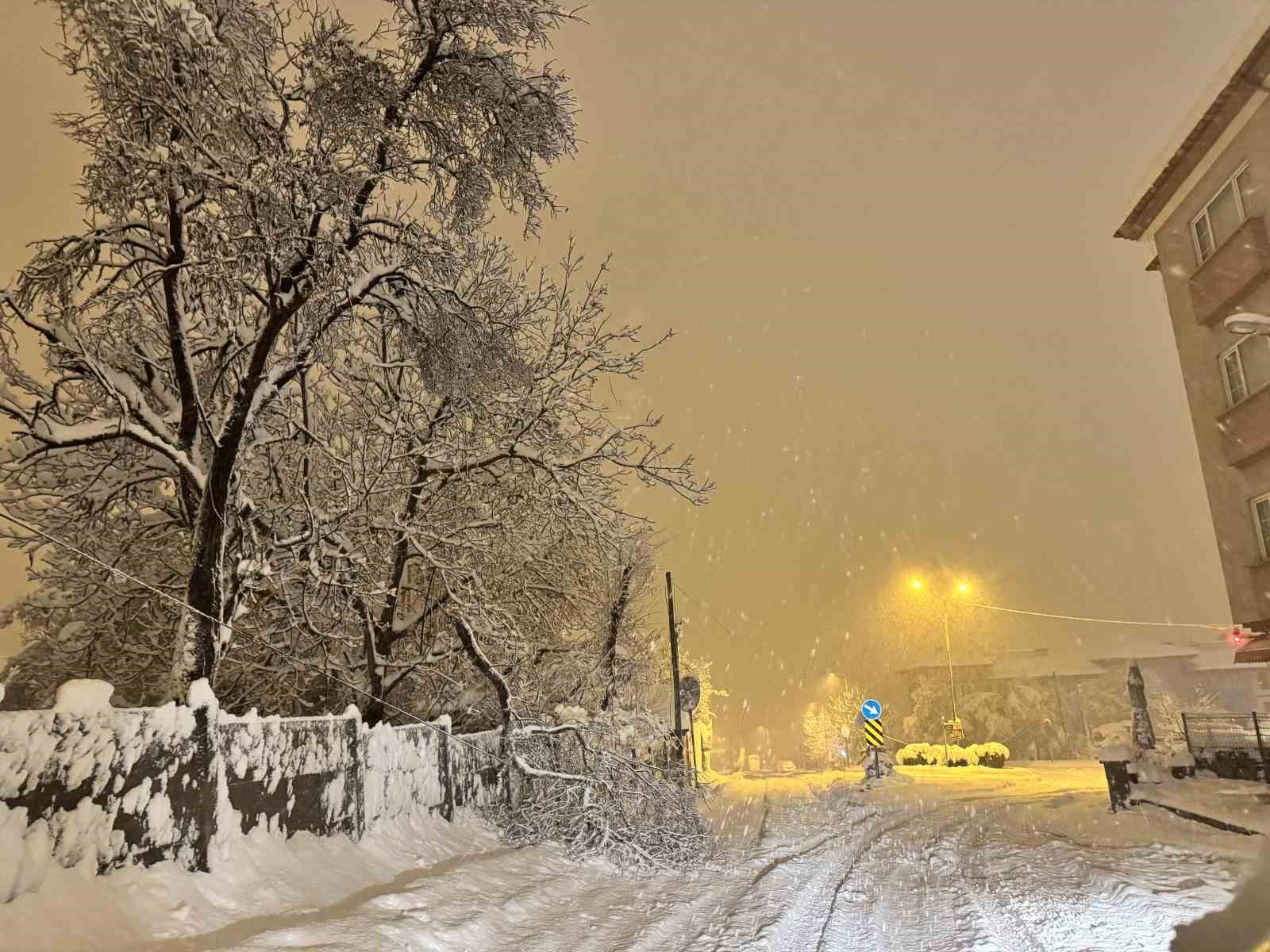 karabukte kar agirligina dayanamayan cok sayida agacin dallarin kirildi 2 AbXPEz9v