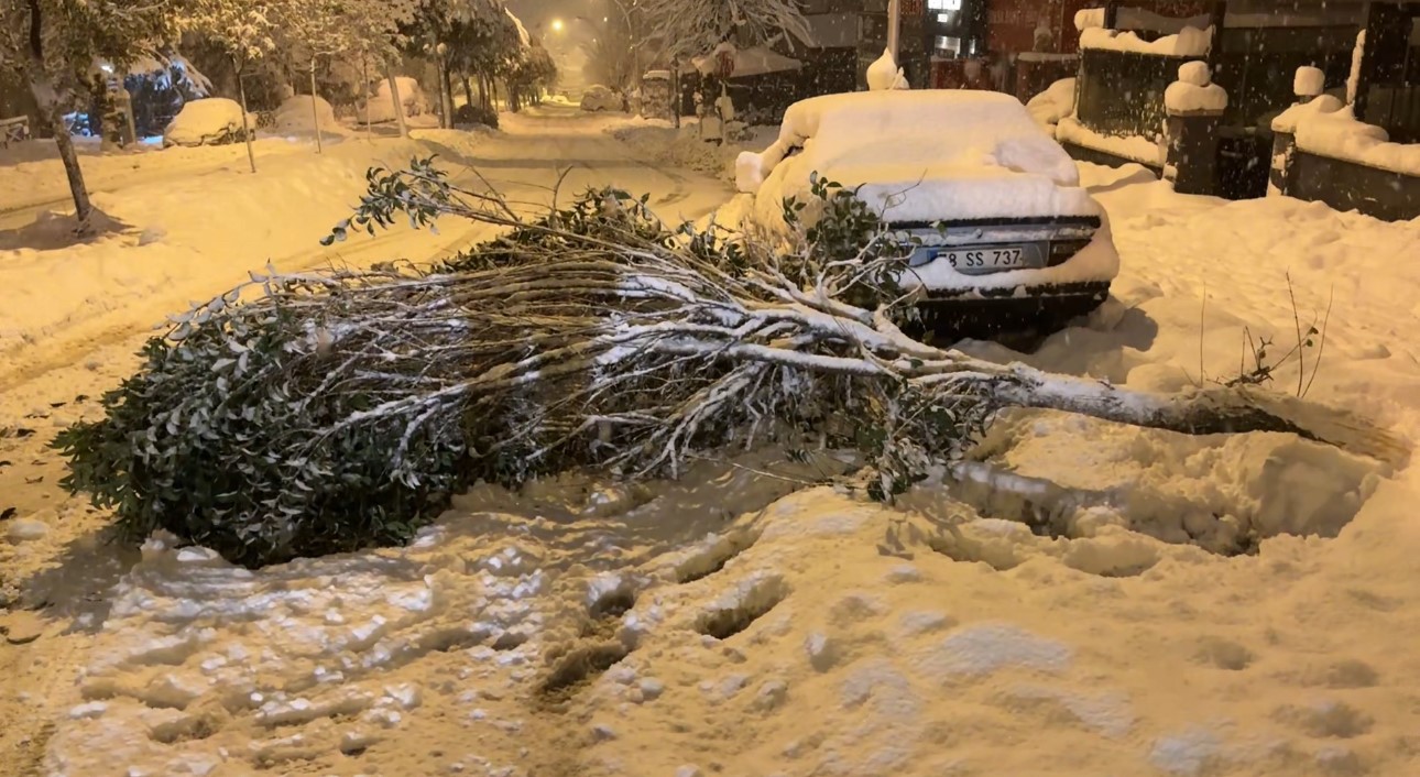 karabukte kar agirligina dayanamayan cok sayida agacin dallarin kirildi 3 8CcDqXZO