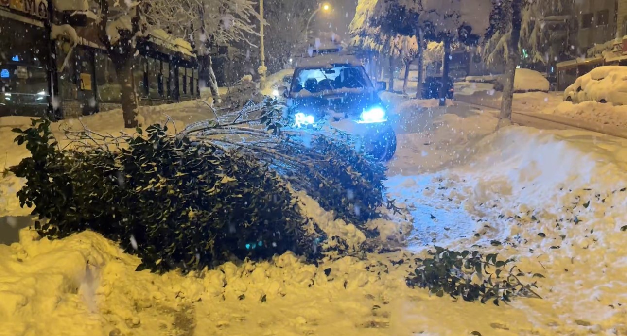 karabukte kar agirligina dayanamayan cok sayida agacin dallarin kirildi 6 qIdG7Rsu