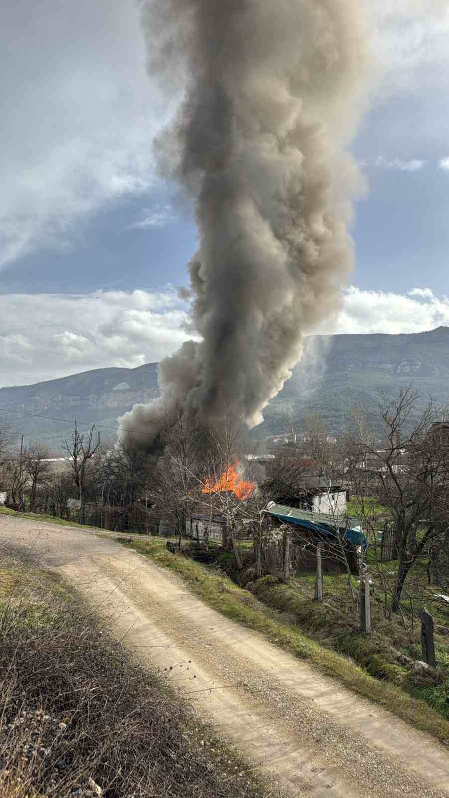 karabukte mustemilat yangini 2 kopek yavrusu telef oldu 5 pPbUHYFg