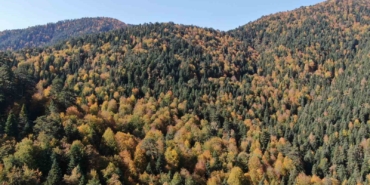 karabukte-ormanlara-girisler-yasaklandi-uIMHLEWH.jpg