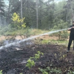 karabukte-ortu-yangini-buyumeden-sonduruldu-EHZUrlqE.jpg