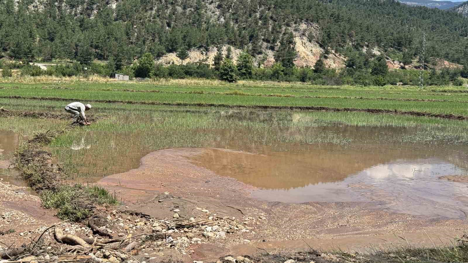 karabukte yaka seli celtik tarlalarini vurdu 11 YPwObYeY
