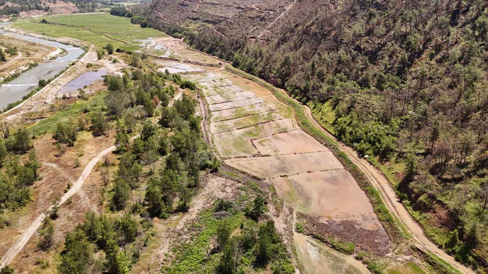 karabukte yaka seli celtik tarlalarini vurdu 3 rvinlBep