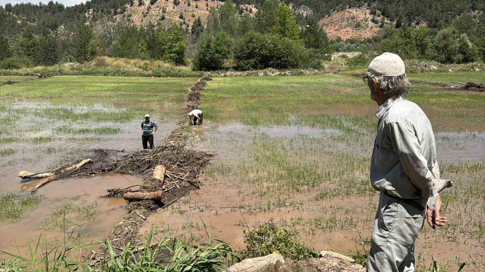 karabukte yaka seli celtik tarlalarini vurdu 5 pjITBSNb