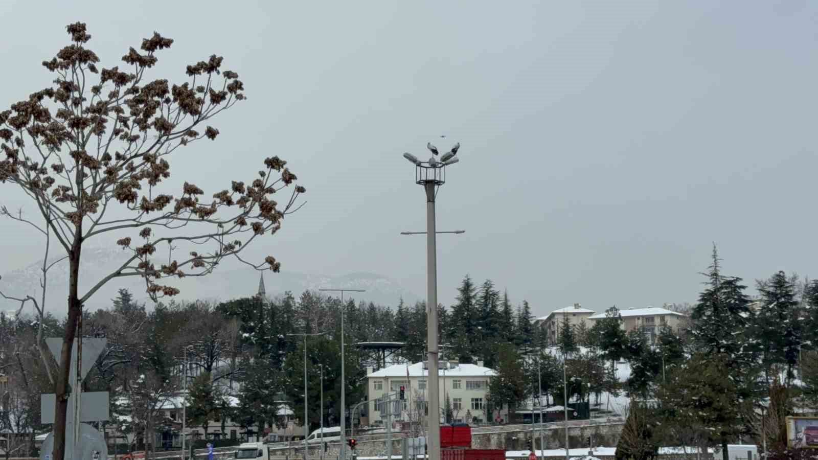 karabukun simgesi haline gelen leylek dronla goruntulendi 3 IfQLEenl