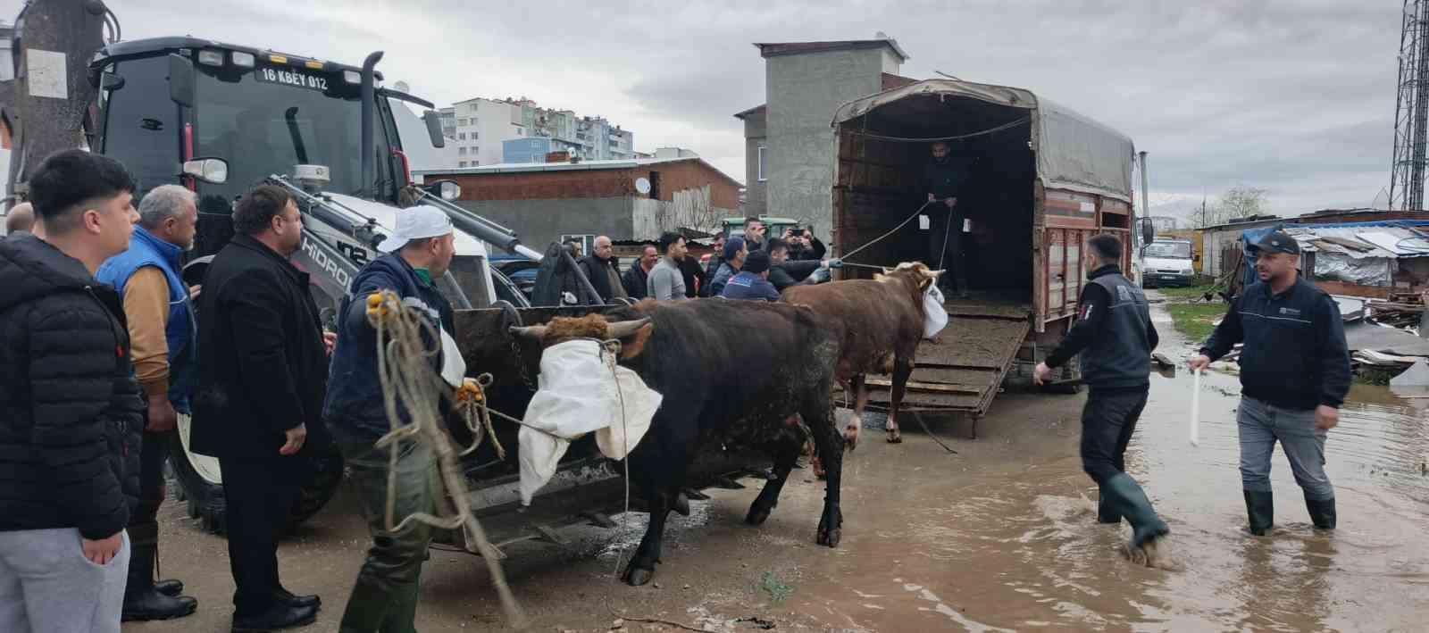 karacabey belediyesi dogal afetlere karsi tum gucuyle sahada 1 2eBKyB6h
