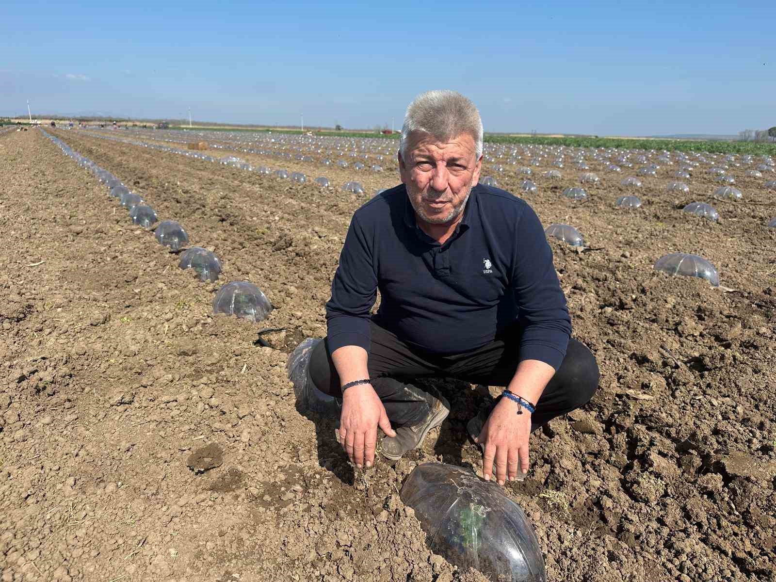 karacabey ovasinda turfanda karpuz ekimi basladi 1 qI4P9CWq