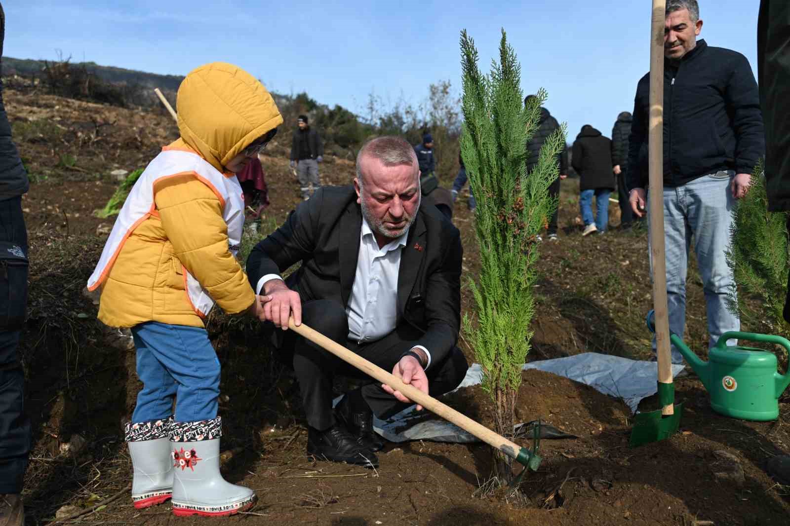 karacabeyde yangin sonrasi ilk fidanlar toprakla bulustu 0 wRgufGed