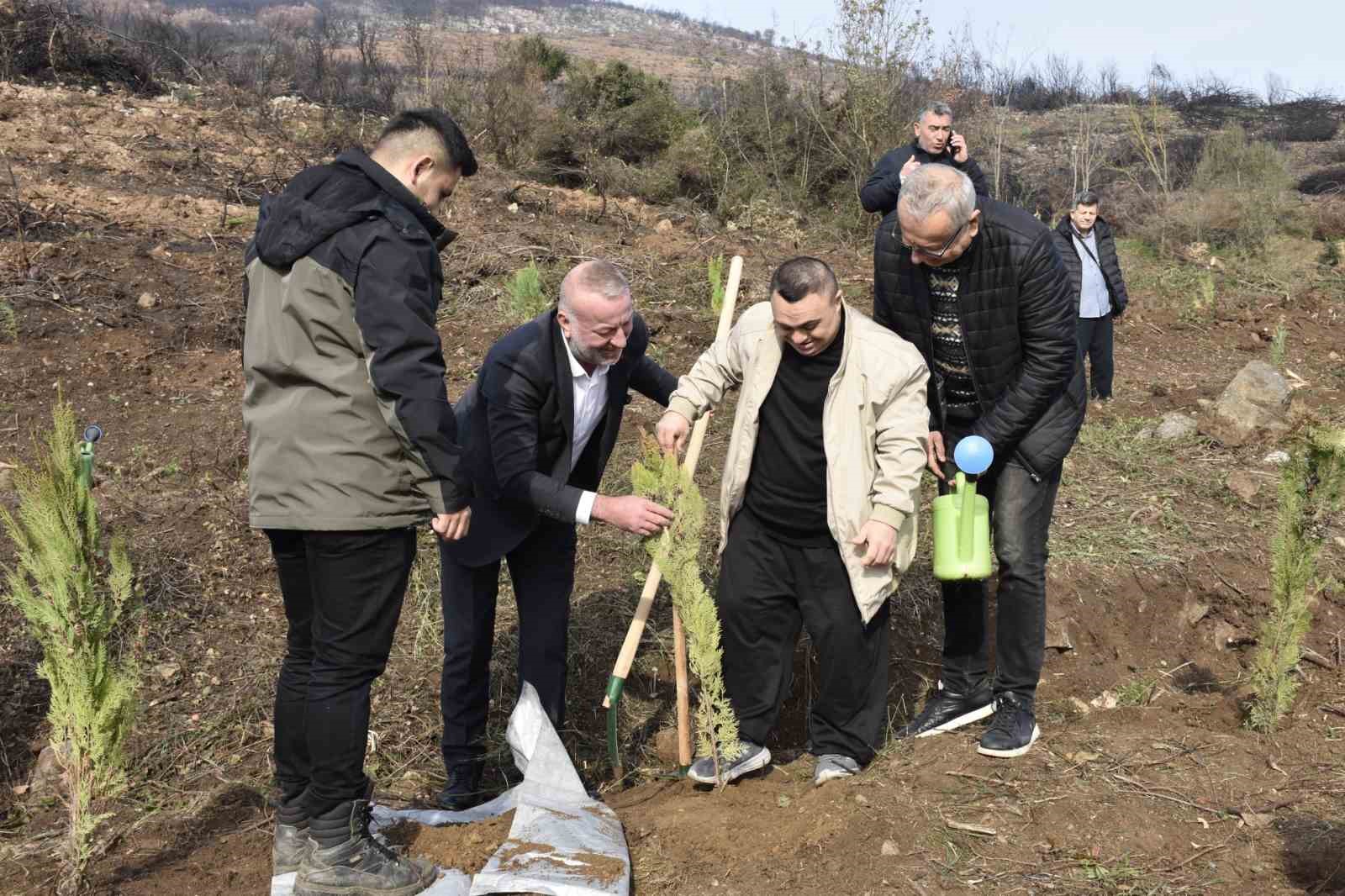 karacabeyde yangin sonrasi ilk fidanlar toprakla bulustu 2 6ekUirCK