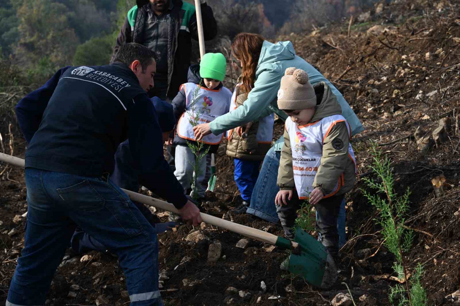karacabeyde yangin sonrasi ilk fidanlar toprakla bulustu 6 jfXTshiO