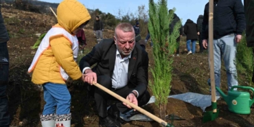 karacabeyde-yangin-sonrasi-ilk-fidanlar-toprakla-bulustu-gXX6KpwD.jpg