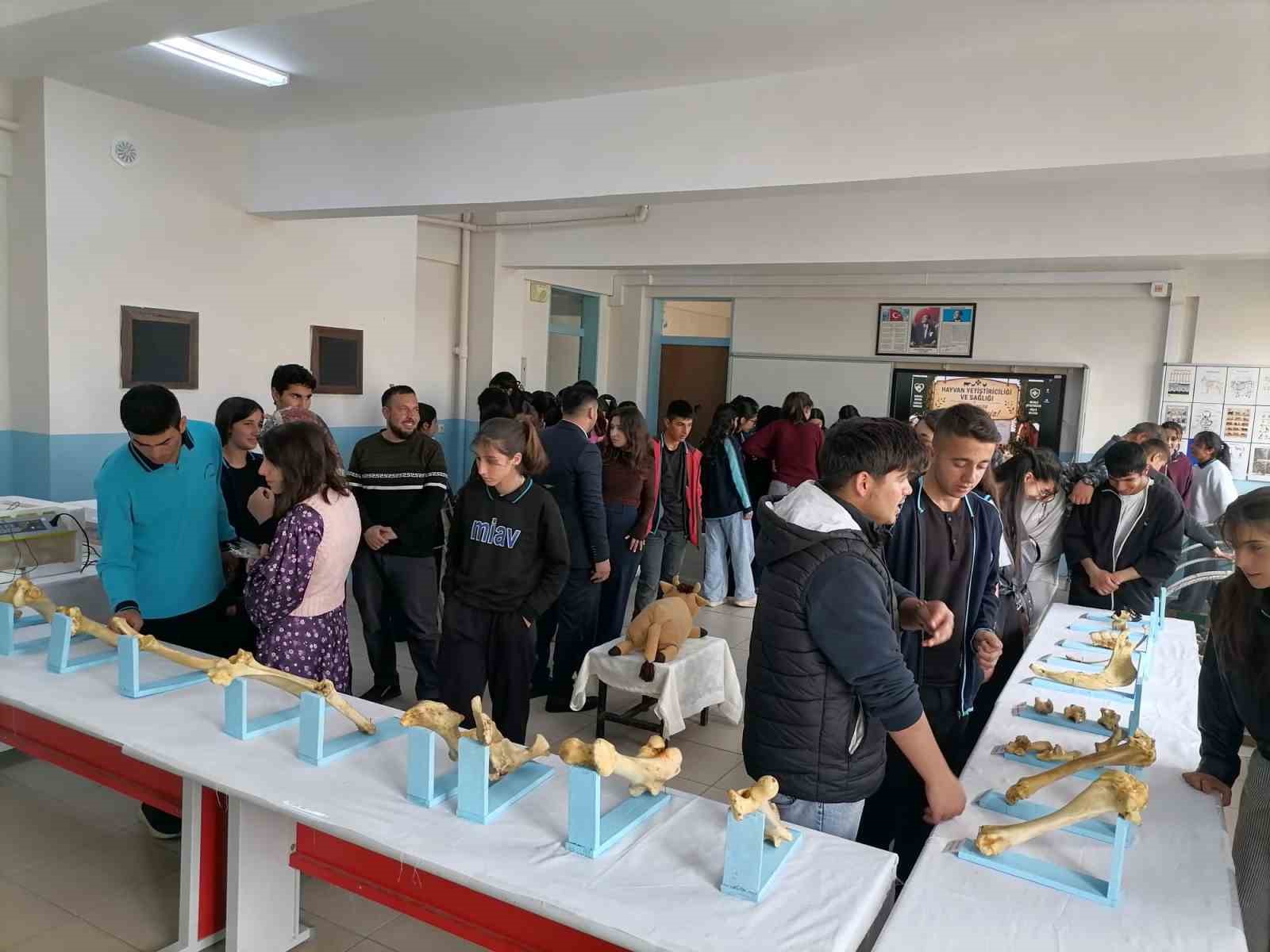 karacobanda anlamli sergi 7 3kNEmaYl
