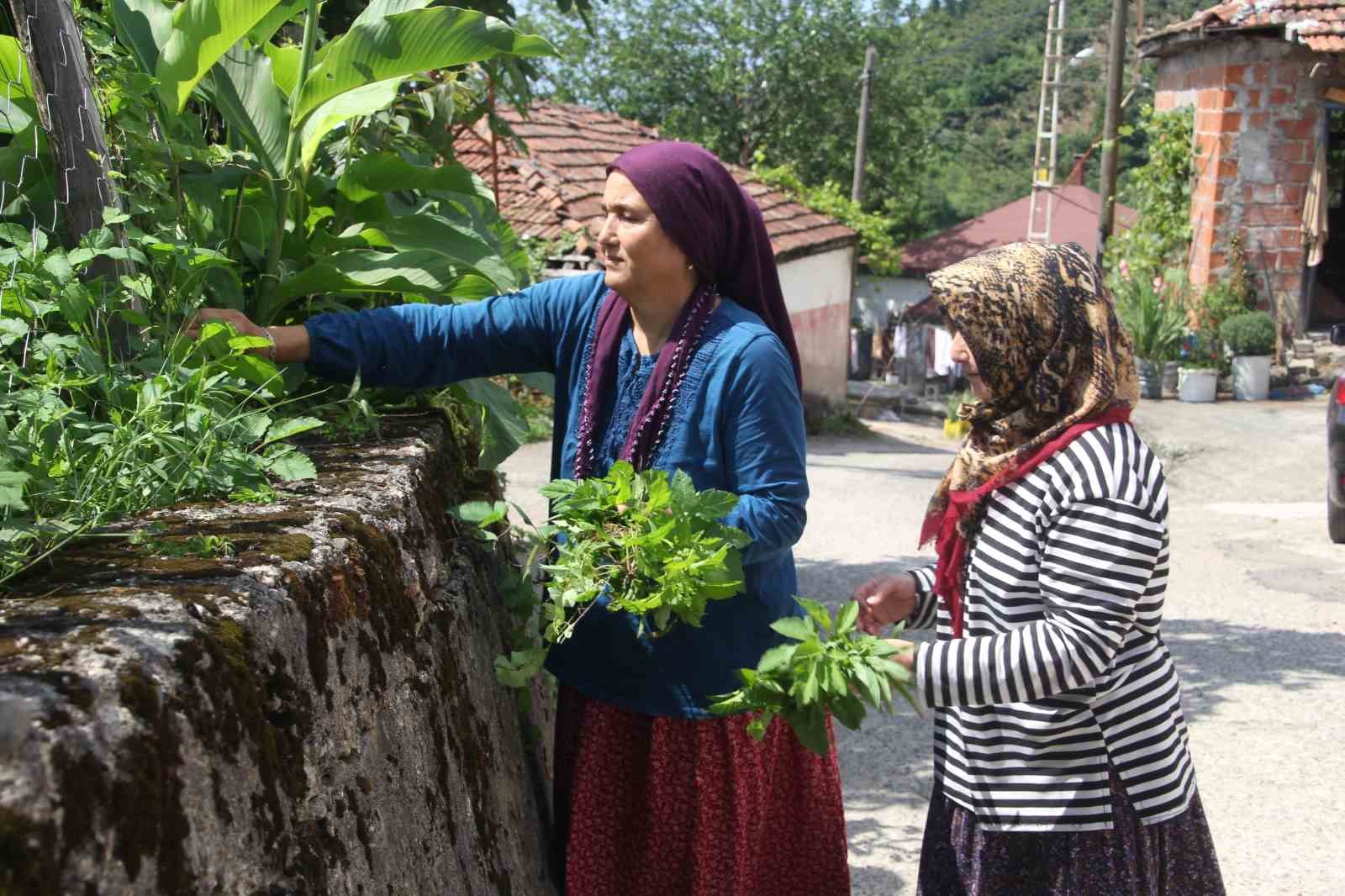 Karadeniz fıkrası gibi mahalle: Herkesin soyadı aynı 6 karadeniz fikrasi gibi mahalle herkesin soyadi ayni 2 eKUdOdQ7