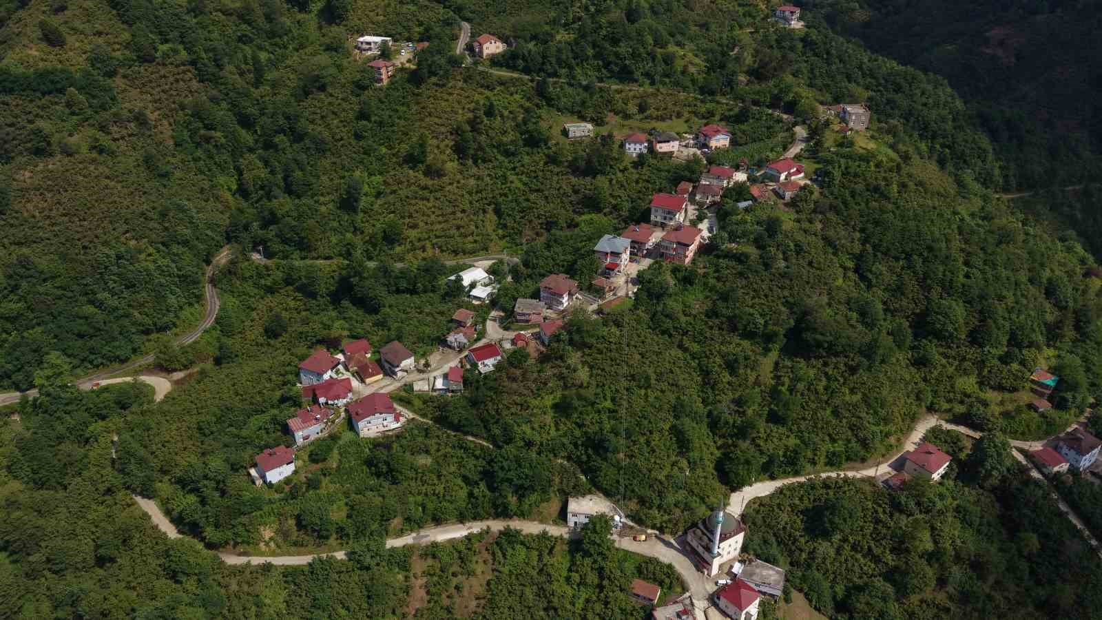 Karadeniz fıkrası gibi mahalle: Herkesin soyadı aynı 8 karadeniz fikrasi gibi mahalle herkesin soyadi ayni 4 16ccj7Zc
