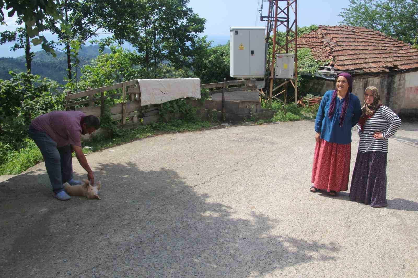 Karadeniz fıkrası gibi mahalle: Herkesin soyadı aynı 12 karadeniz fikrasi gibi mahalle herkesin soyadi ayni 8 pGRHlDy8