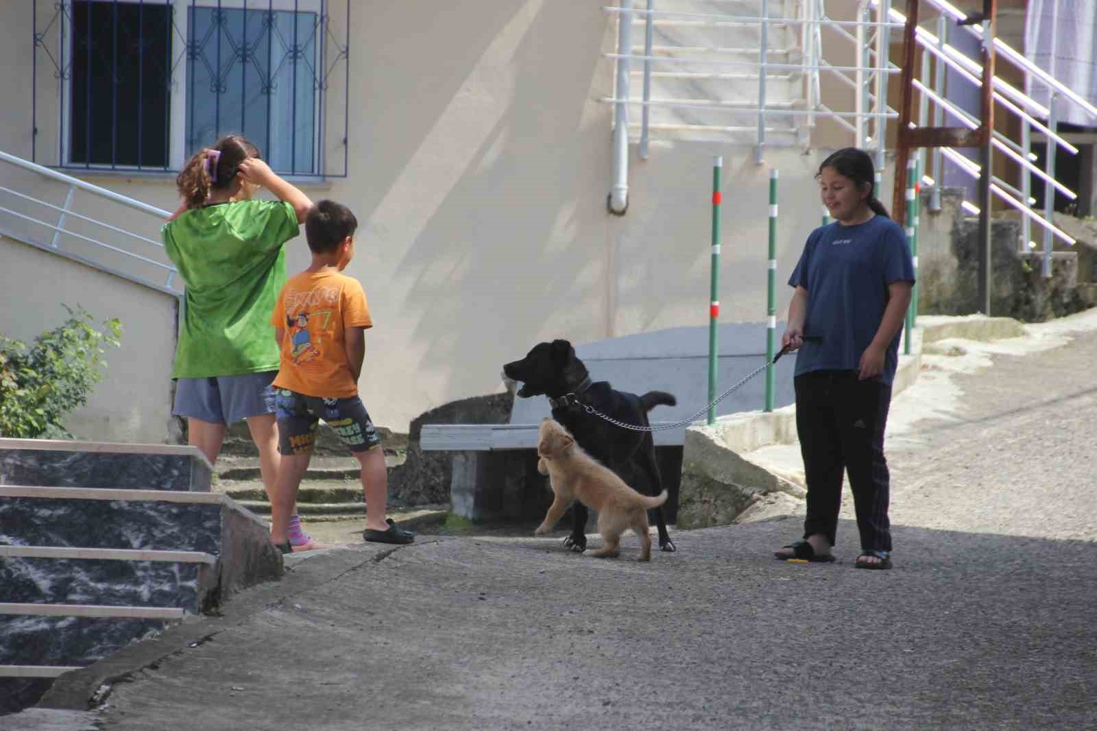 Karadeniz fıkrası gibi mahalle: Herkesin soyadı aynı 13 karadeniz fikrasi gibi mahalle herkesin soyadi ayni 9 TkCfyctj