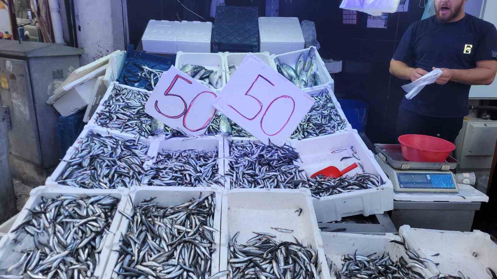 Karadeniz hamsisi tezgahları doldurdu: Kilosu 50 lira 4 karadeniz hamsisi tezgahlari doldurdu kilosu 50 lira 0 mMnPSHTJ
