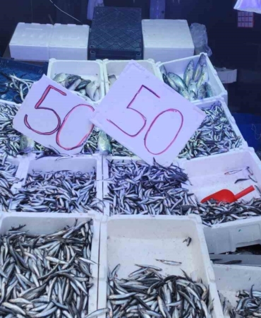 karadeniz-hamsisi-tezgahlari-doldurdu-kilosu-50-lira-UH2M7dIp.jpg