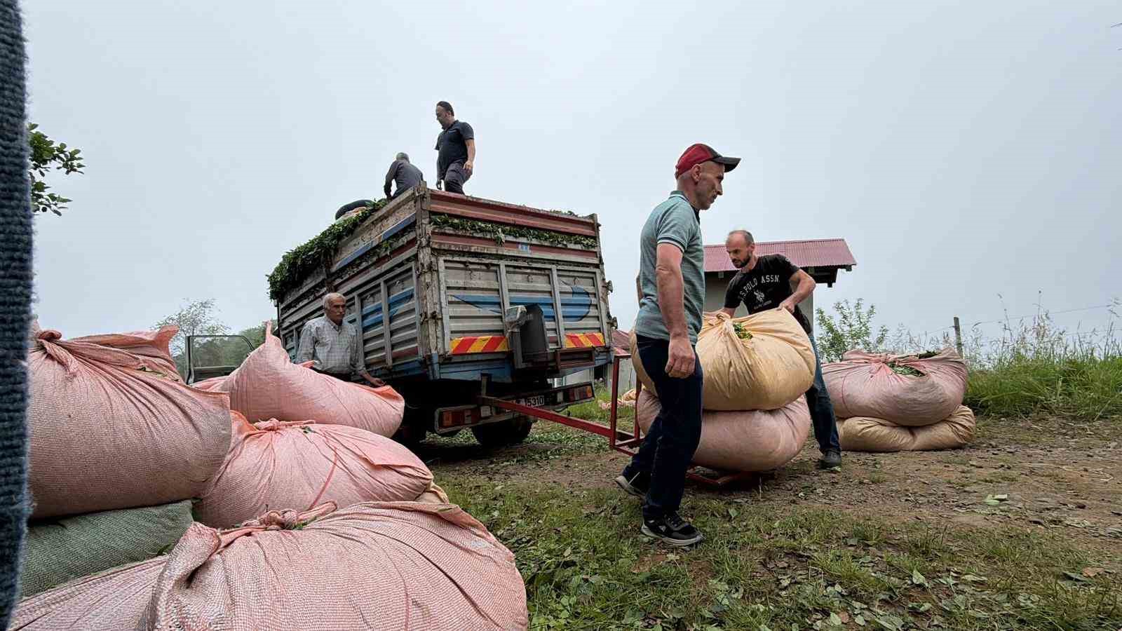 Karadeniz insanı yine zekasını konuşturdu, zor işi kolaylaştırdı 15 karadeniz insani yine zekasini konusturdu zor isi kolaylastirdi 11 FtfWwq9q