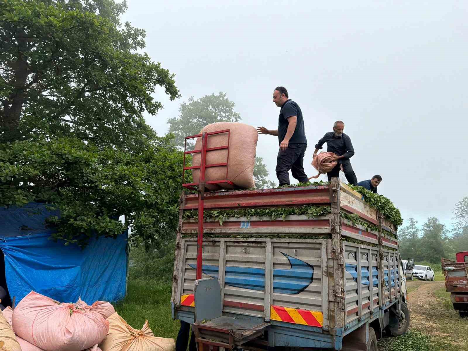 Karadeniz insanı yine zekasını konuşturdu, zor işi kolaylaştırdı 18 karadeniz insani yine zekasini konusturdu zor isi kolaylastirdi 14 ZY6M3Swj