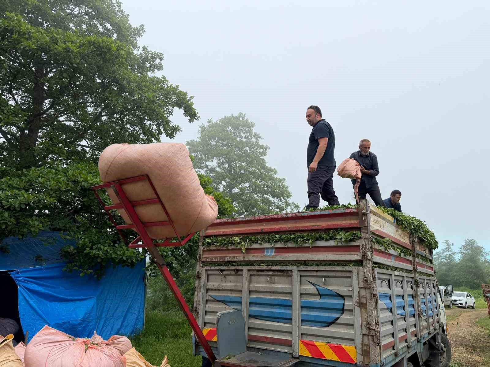 Karadeniz insanı yine zekasını konuşturdu, zor işi kolaylaştırdı 19 karadeniz insani yine zekasini konusturdu zor isi kolaylastirdi 15 3IEGWSRE