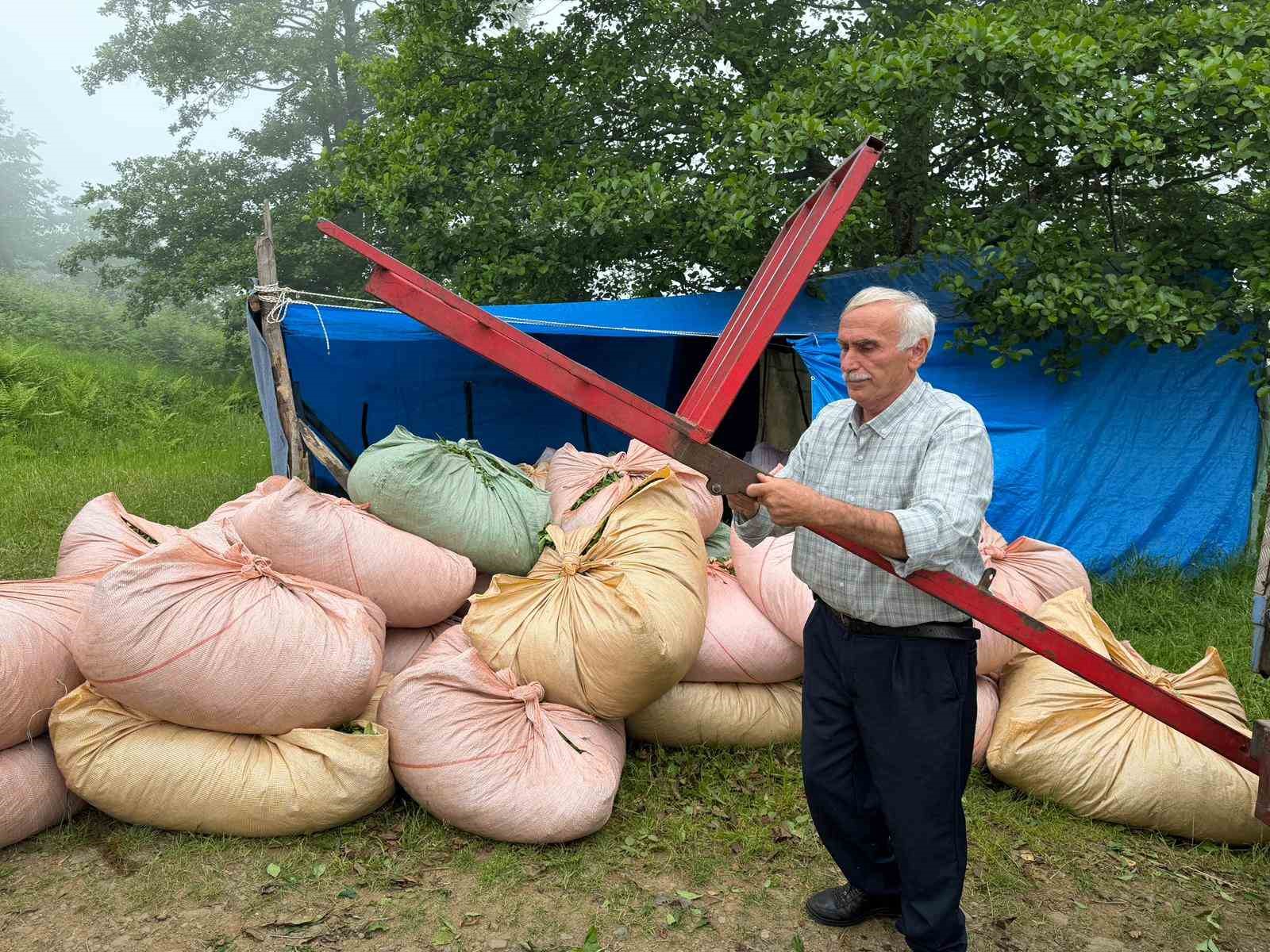 Karadeniz insanı yine zekasını konuşturdu, zor işi kolaylaştırdı 7 karadeniz insani yine zekasini konusturdu zor isi kolaylastirdi 3 rfYDrgM1