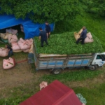 karadeniz-insani-yine-zekasini-konusturdu-zor-isi-kolaylastirdi-ZJa8d4Jz.jpg
