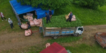 karadeniz-insani-yine-zekasini-konusturdu-zor-isi-kolaylastirdi-ZJa8d4Jz.jpg