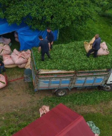 karadeniz-insani-yine-zekasini-konusturdu-zor-isi-kolaylastirdi-ZJa8d4Jz.jpg