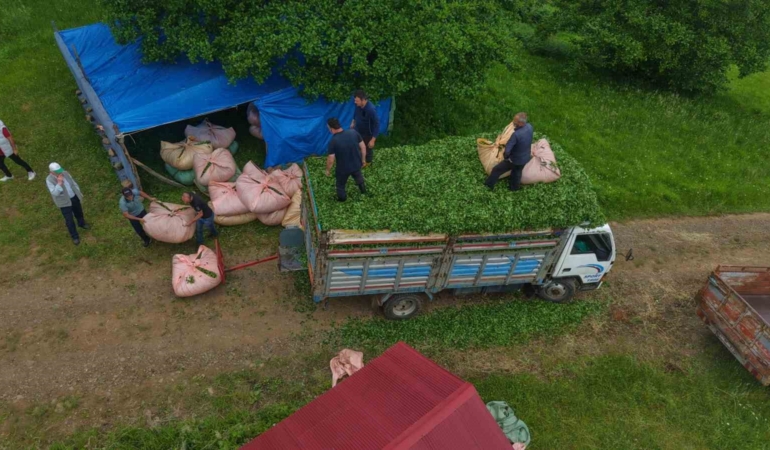 karadeniz-insani-yine-zekasini-konusturdu-zor-isi-kolaylastirdi-ZJa8d4Jz.jpg