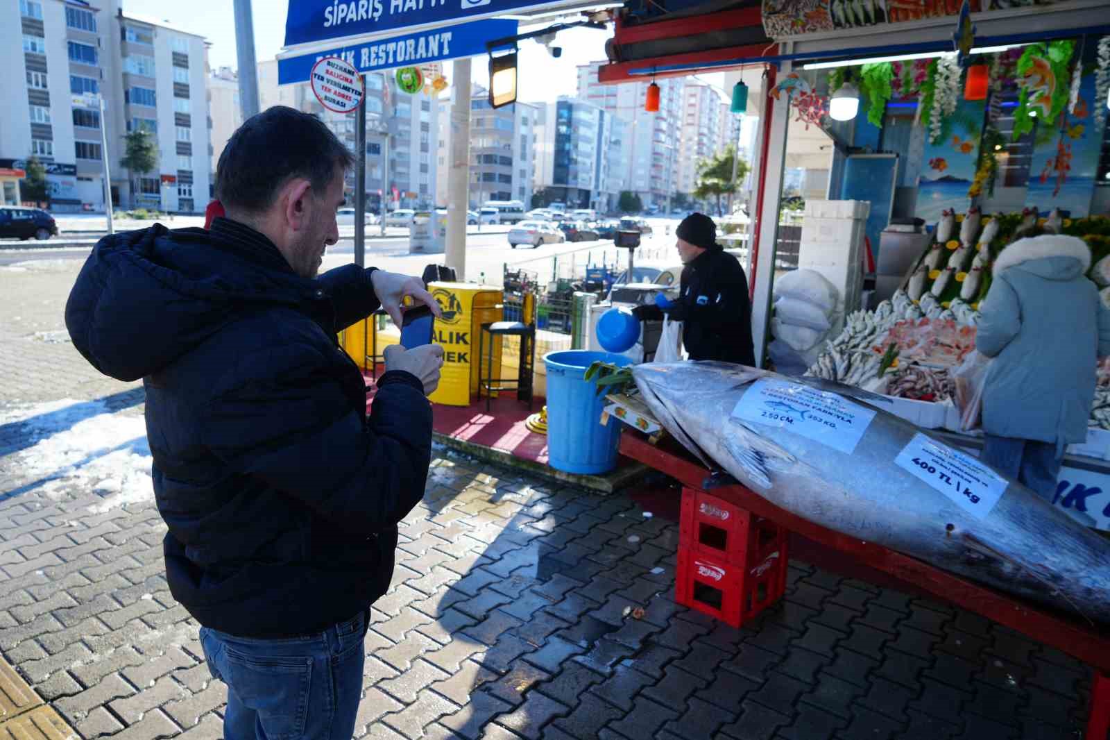 karadenizde avlanan 353 kiloluk dev orkinos ilgi odagi oldu 4 2dl2WBvv