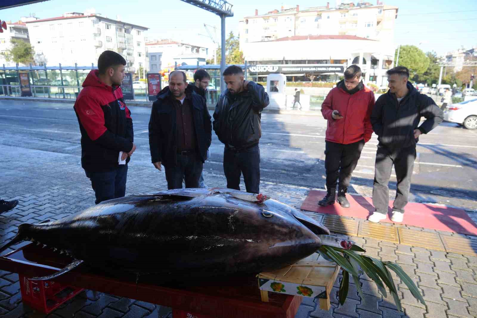 karadenizde avlanan 353 kiloluk dev orkinos ilgi odagi oldu 6 uGI24ZKM