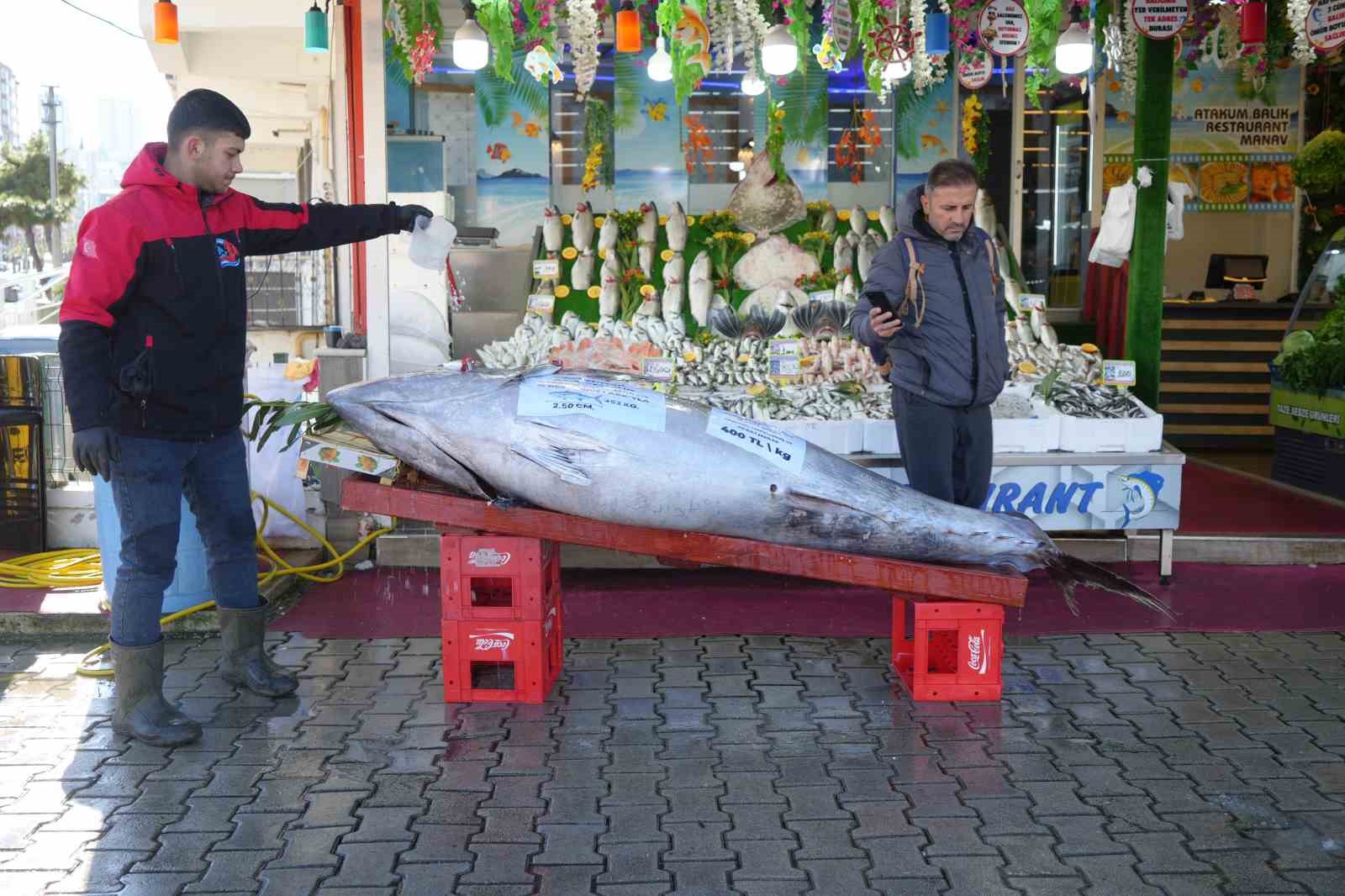karadenizde avlanan 353 kiloluk dev orkinos ilgi odagi oldu 7 4YM8kPpi