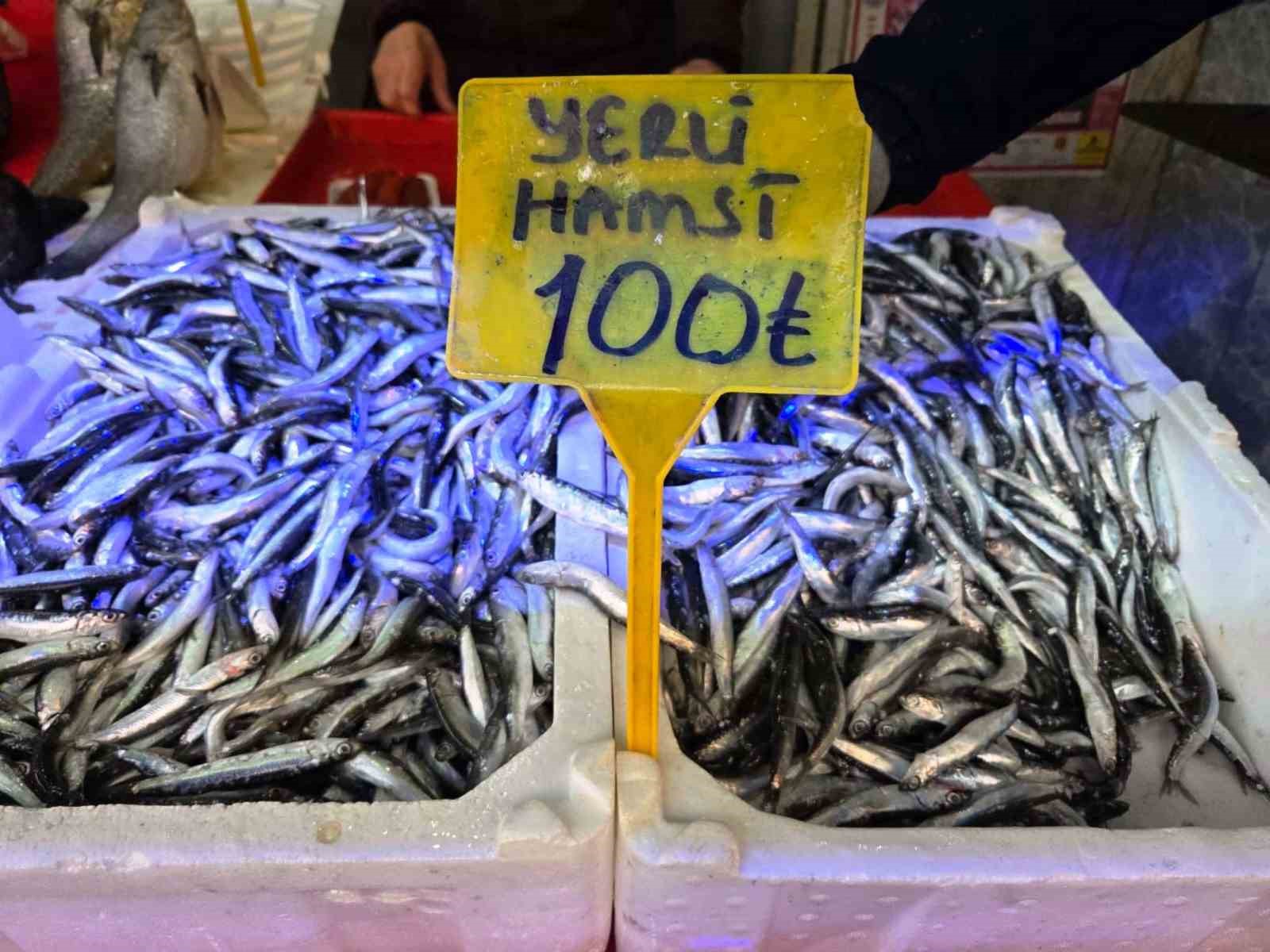 karadenizde hamsi bereketi tezgahlar iri hamsiyle doldu 4