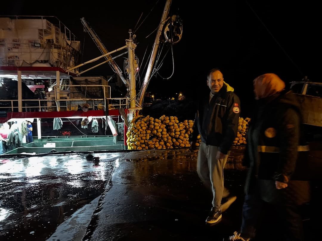 karadenizde hamsi yogunlugu devam ediyor 2 gpBBE1qd
