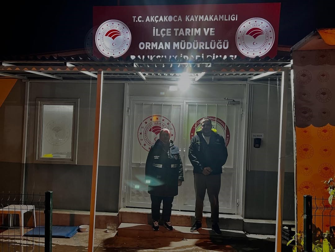karadenizde hamsi yogunlugu devam ediyor 3