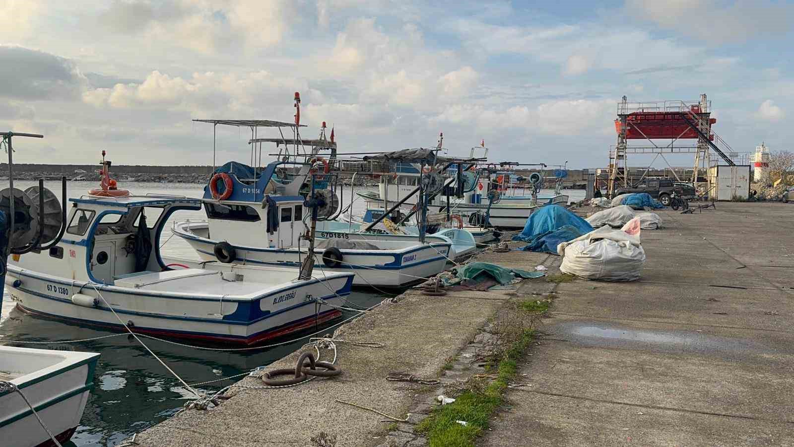 karadenizde palamut hayal kirikligi yasatti 2 8Zf34nKT