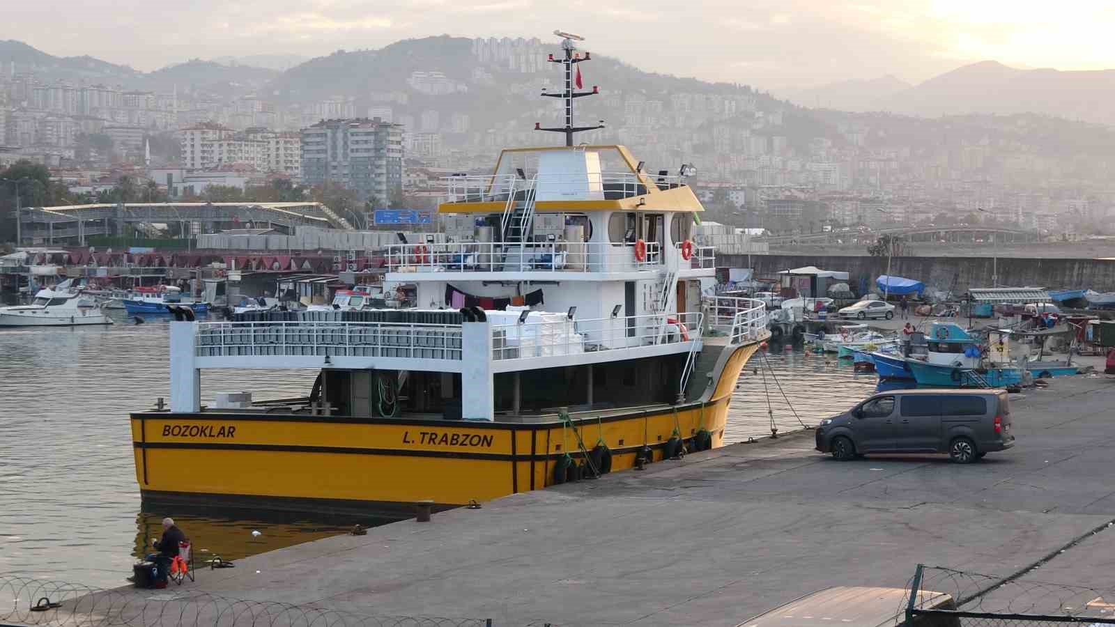 karadenizden bu sezon adeta hamsi fiskiriyor 1