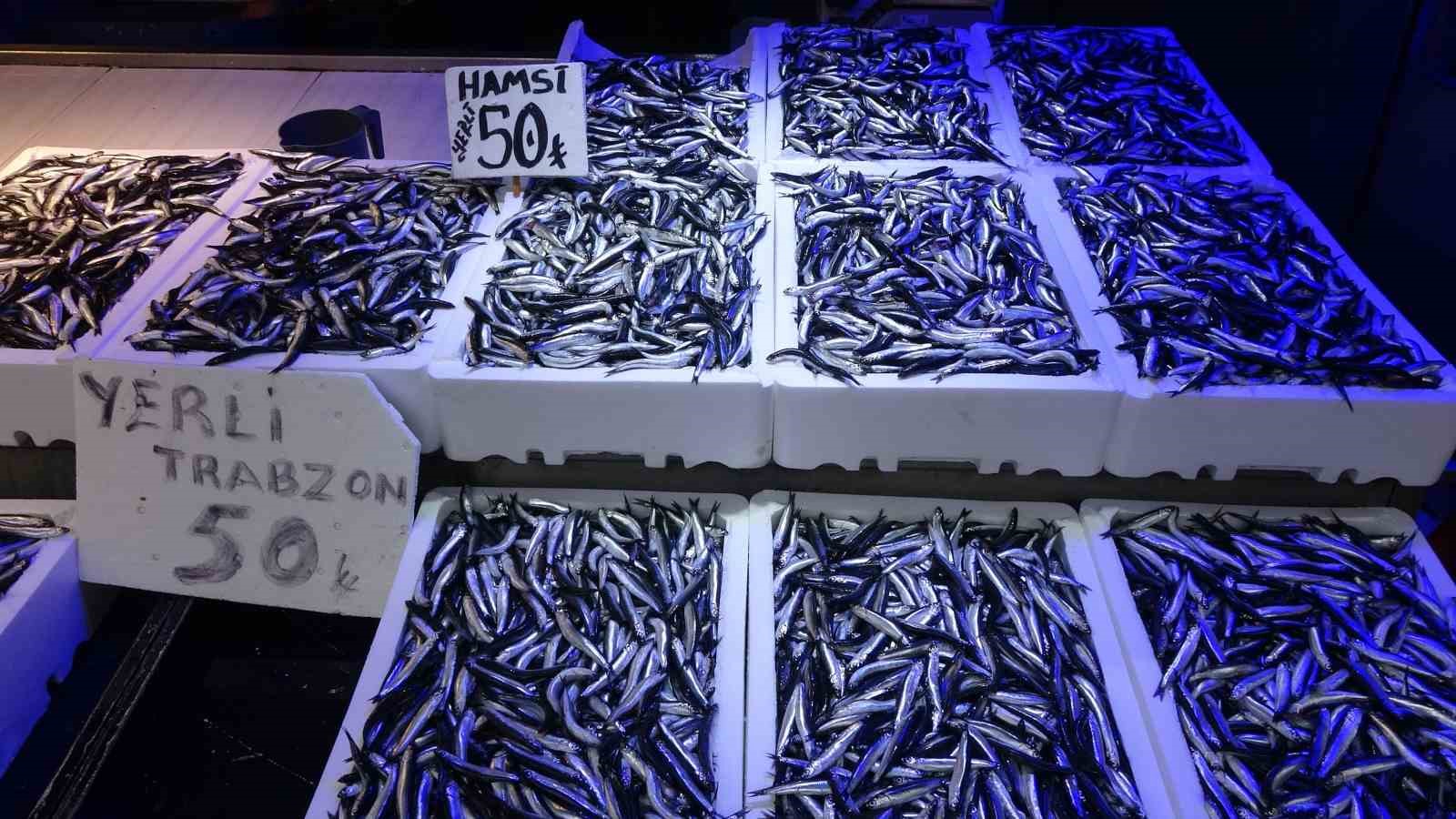 karadenizden bu sezon adeta hamsi fiskiriyor 2
