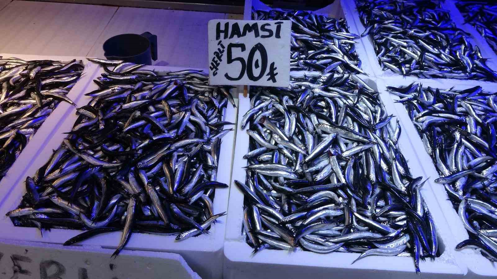 karadenizden bu sezon adeta hamsi fiskiriyor 4