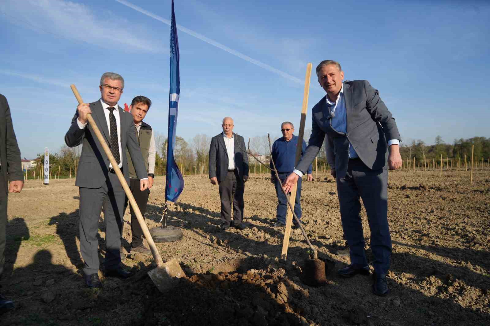 Karadeniz’in en büyük incir projesi: 50 milyon TL gelir kız çocuklarına verilecek 5 karadenizin en buyuk incir projesi 50 milyon tl gelir kiz cocuklarina verilecek 1 DTEF9wVS
