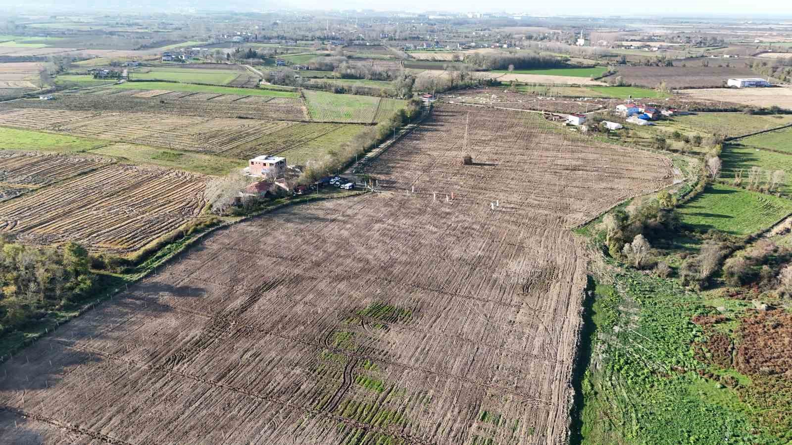 Karadeniz’in en büyük incir projesi: 50 milyon TL gelir kız çocuklarına verilecek 11 karadenizin en buyuk incir projesi 50 milyon tl gelir kiz cocuklarina verilecek 7 LPEkJ15c