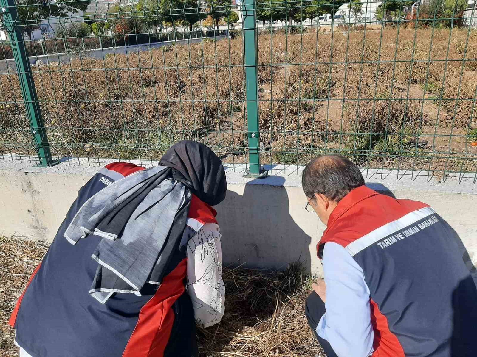 karadenizin korkulu ruyasi sivasta goruldu 1 WvQw8TsQ