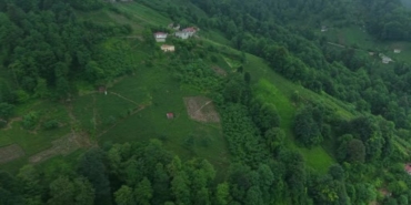 karadenizin-yesil-altininda-zorlu-hasat-suruyor-AesgyDf2.jpg