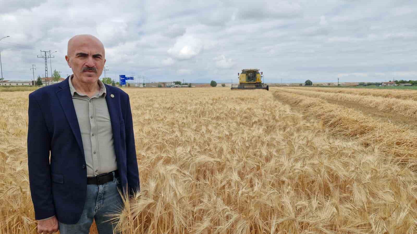 Karaman Ovası’nda yılın ilk arpa hasadı yapıldı 4 karaman ovasinda yilin ilk arpa hasadi yapildi 0