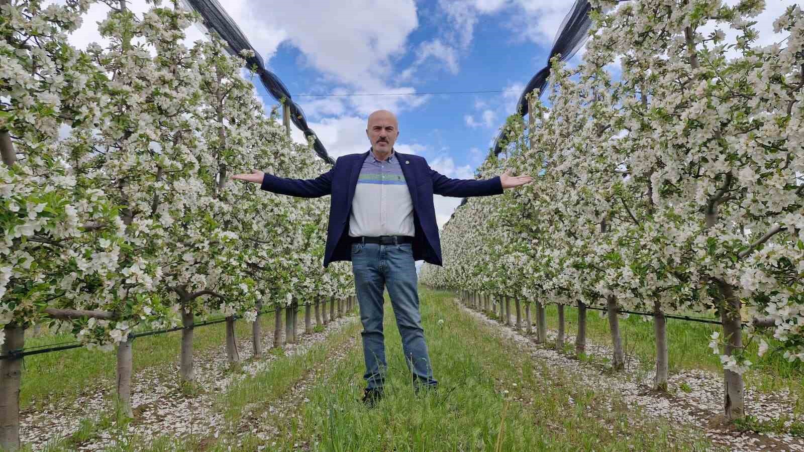 karamanda 16 milyon elma agaci cicek acarak gelinligini giydi 3 3Ul1VX6u