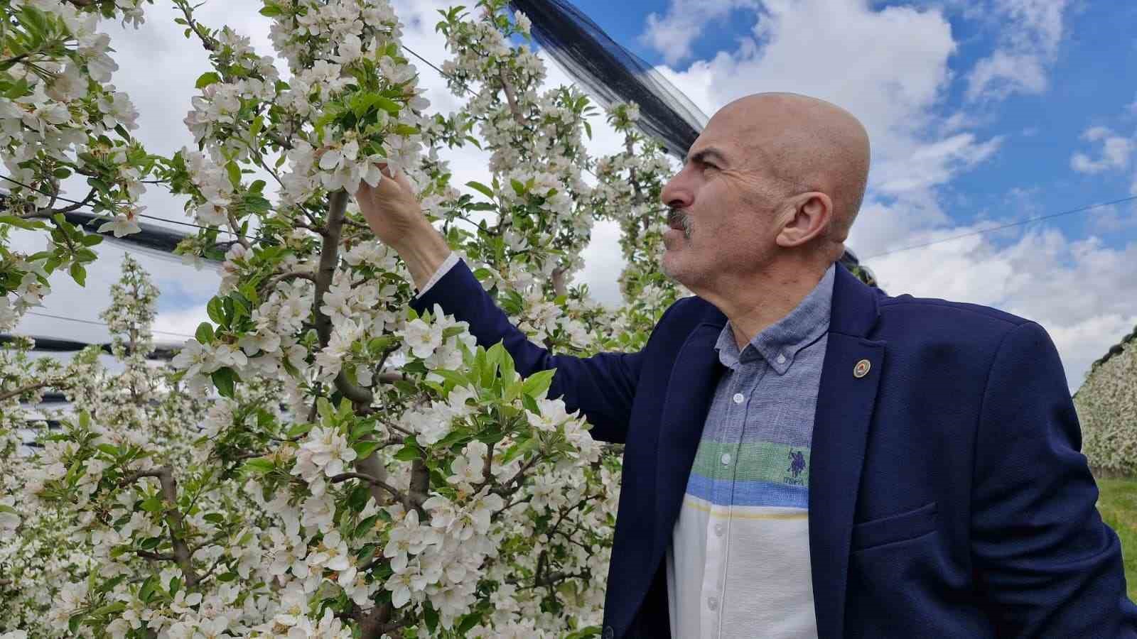 karamanda 16 milyon elma agaci cicek acarak gelinligini giydi 8 WslvRdEi