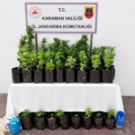 karamanda-2-bin-802-kok-kenevir-ele-gecirildi-siq3sKS3.jpg